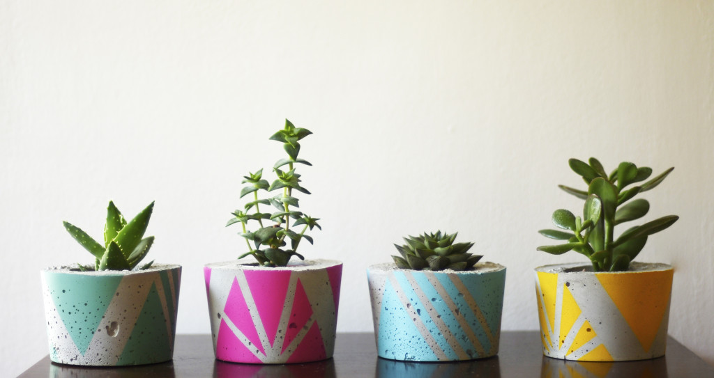 ail+el small planters brights stall at Dublin Flea Chrsitmas Market 2018
